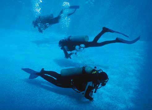 Maharashtra's Adventure Tourism Policy: A New Path to Economic Growth